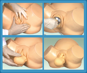 CPR Training Manikin Child, CPR Training Model Child, CPR Training Mannequin Child, Child CPR Manikin, Child CPR Model, Child CPR Mannequin, CPR Child, Manikin for Demonstrating CPR Procedures Child, CPR Training Manikin Adult, CPR Training Model Adult, CPR Training Mannequin Adult, Adult CPR Manikin, Adult CPR Model, Adult CPR Mannequin, CPR Adult, 