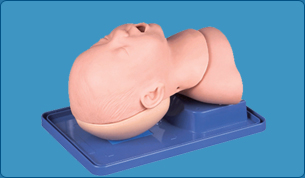 Multi-functional Airway Management Model, Multi-functional Airway Management Manikin, Multi-functional Airway Management Mannequin, Trachea Intubations Model, Trachea Intubations Manikin, Infant Airway Management Manikin, Model, Infant Airway Management Model, Infant Airway Management Mannequin, forensic Educational Training Model, forensic Models