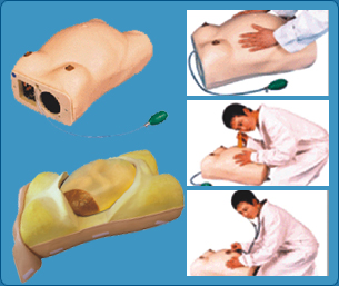 Multi-functional Airway Management Model, Multi-functional Airway Management Manikin, Multi-functional Airway Management Mannequin, Trachea Intubations Model, Trachea Intubations Manikin, Infant Airway Management Manikin, Model, Infant Airway Management Model, Infant Airway Management Mannequin, forensic Educational Training Model, forensic Models